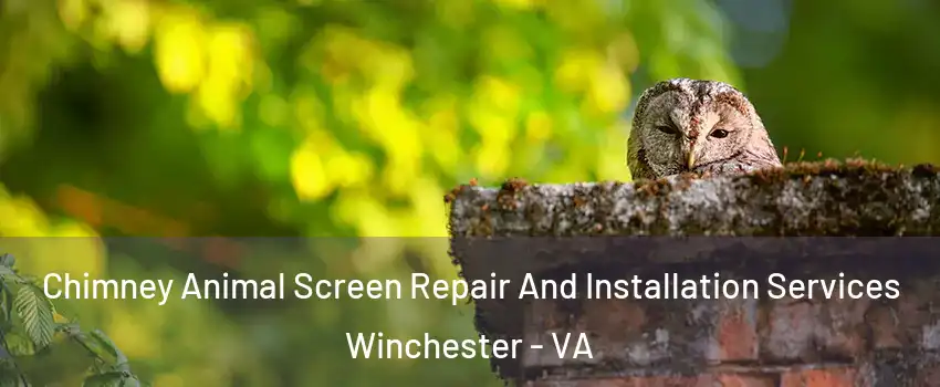  Chimney Animal Screen Repair And Installation Services Winchester - VA