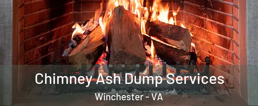  Chimney Ash Dump Services Winchester - VA