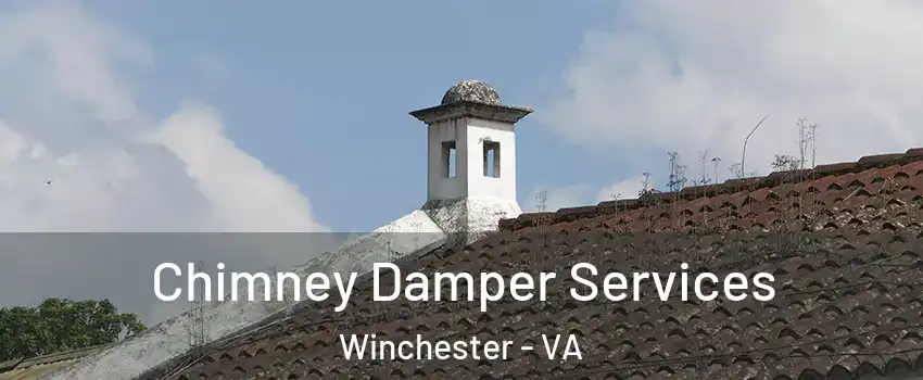  Chimney Damper Services Winchester - VA