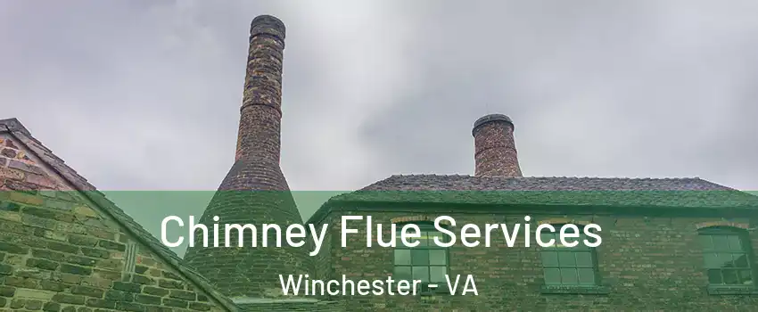  Chimney Flue Services Winchester - VA