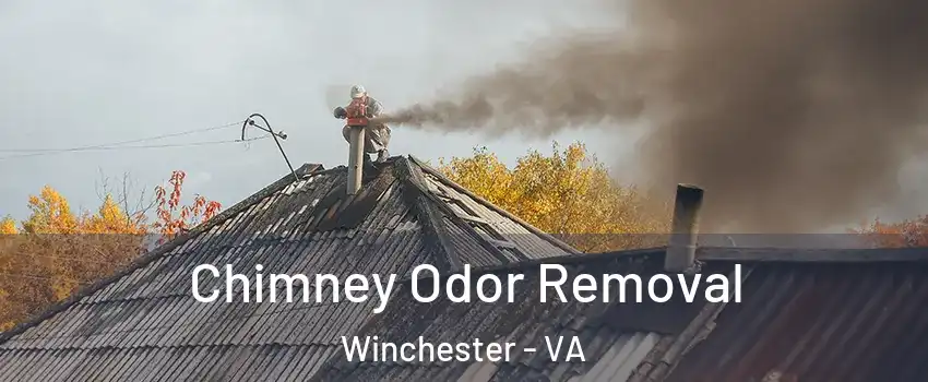  Chimney Odor Removal Winchester - VA