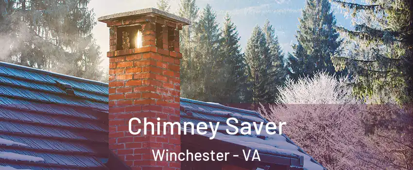  Chimney Saver Winchester - VA