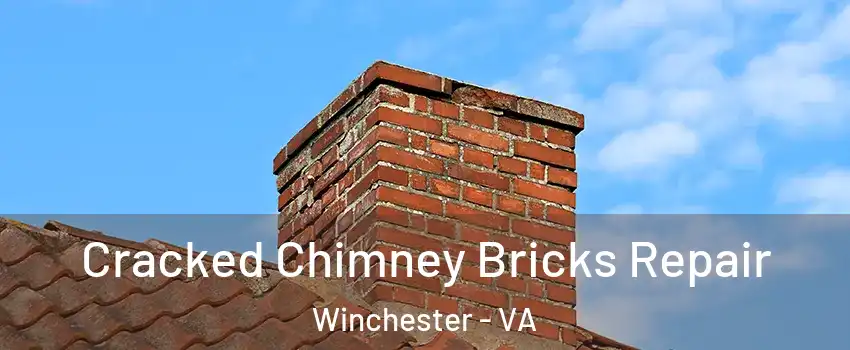  Cracked Chimney Bricks Repair Winchester - VA