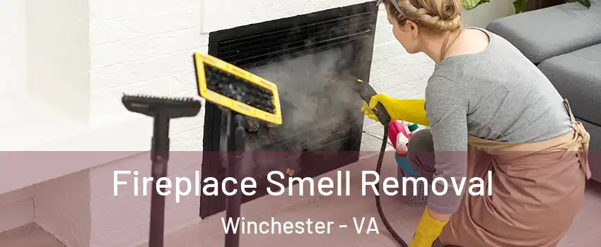  Fireplace Smell Removal Winchester - VA