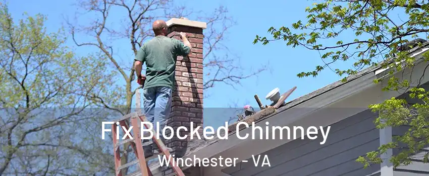  Fix Blocked Chimney Winchester - VA
