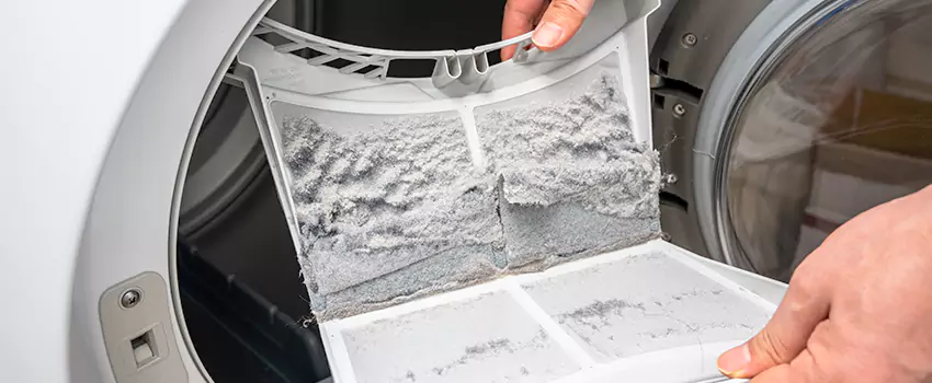 Best Dryer Lint Removal Company in Winchester, Virginia