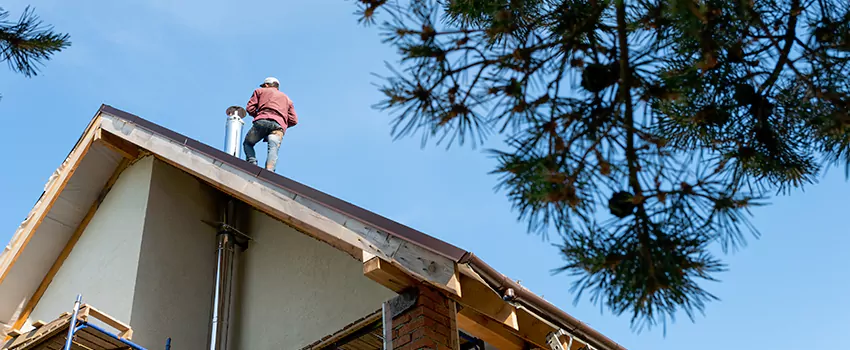 Birds Removal Contractors from Chimney in Winchester, VA