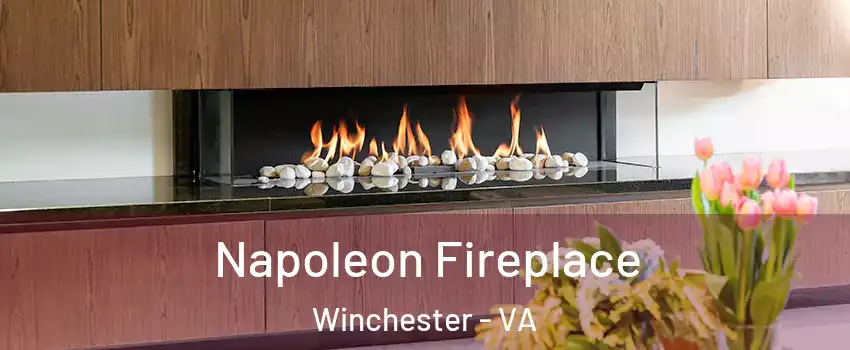 Napoleon Fireplace Winchester - VA