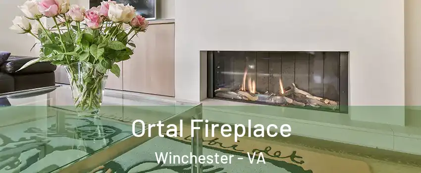 Ortal Fireplace Winchester - VA